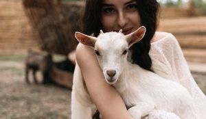 Парк альпак «Симба» — фото 2