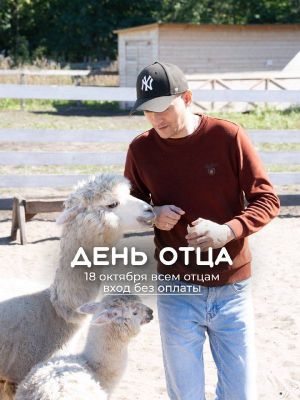 Бесплатный вход для учителей в честь Дня учителя — фото 3