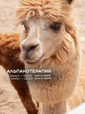 Бесплатный вход для учителей в честь Дня учителя — фото 5