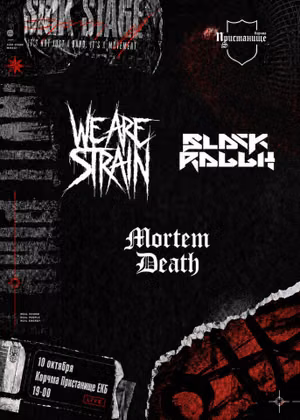 We Are Strain/BlackRabbit/Mortem Death ЕКБ 10.10.26 — фото 2
