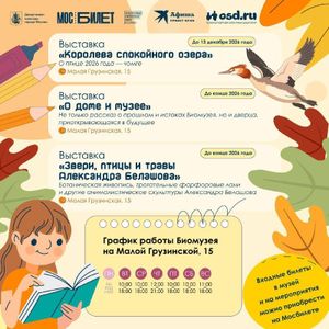 Занятие «Смотри в оба!» — фото 3