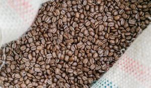 Экскурсия, лекция и каппинг на производстве BunaCoffee — фото 2