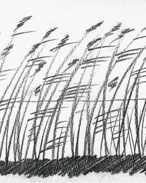 Презентация книги Евгения Асса «9П» — фото 3