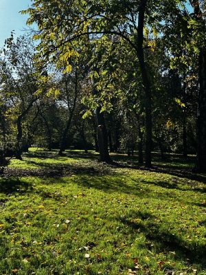 День рождения Антикафе Автограф — фото 3