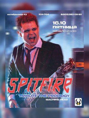 SPITFIRE — трибьют группы THE PRODIGY — фото 2