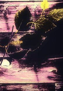 Долгое ожидание — фото 2