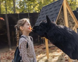 Школьные каникулы в Альпака Парке, вход до 13 лет — бесплатно — фото 3