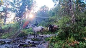 ЖЕМЧУЖИНЫ КАРАКАНСКОГО БОРА — фото 6