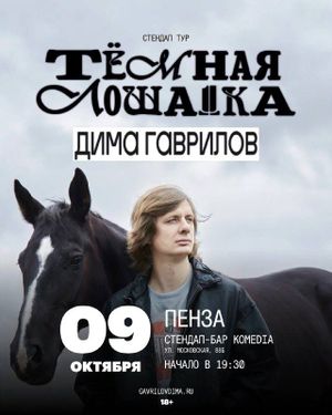 концерт «Тёмная лошадка» Димы Гаврилова — фото 2