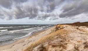 Куршская коса и сыроварня «Шаакен Дорф» (из Светлогорска) — фото 2