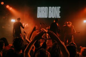 Bird Bone, Форест Фаер, Hanygaflex — фото 2