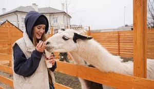 Парк альпак «Симба» — фото 3