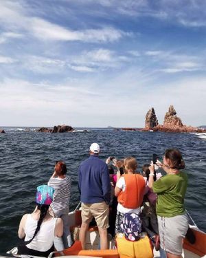 Морское приключение — фото 2