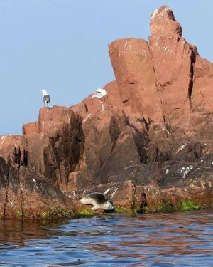 Морское приключение — фото 3