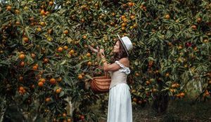Гранд-тур по Абхазии: Гагра, Рица, Новый Афон и Мандариновый сад — фото 2