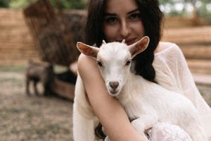 Парк альпак «Симба» — фото 2