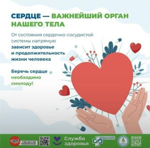 Неделя ответственного отношения к сердцу — фото 2