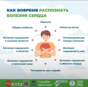 Неделя ответственного отношения к сердцу — фото 3