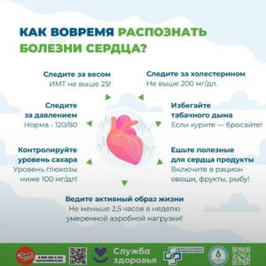 Неделя ответственного отношения к сердцу — фото 5