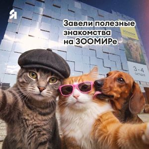 Книжная ярмарка — фото 3