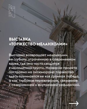 Выставка «Поля падения» — фото 2