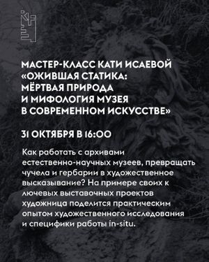 Выставка «Поля падения» — фото 7
