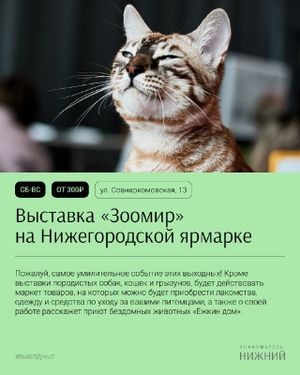 Фестиваль «Любовь и атомы» — фото 5