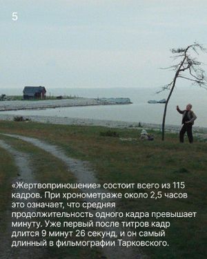 Специальный показ фильма «Жертвоприношение» Андрея Тарковского — фото 6