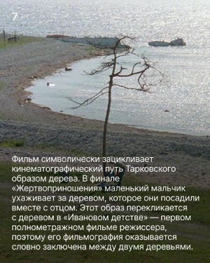 Специальный показ фильма «Жертвоприношение» Андрея Тарковского — фото 8
