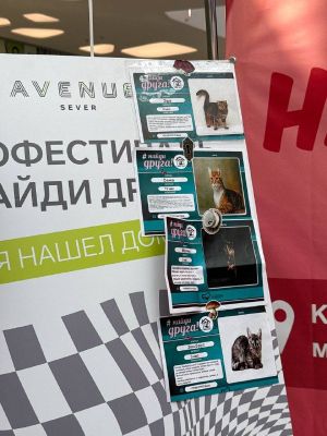 Бесплатный мастер-класс по схемотехнике — фото 5