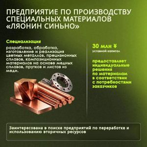 Встречи с компаниями из Шэньяна (Китай) — фото 4