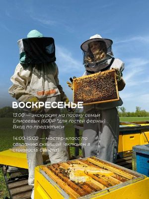 Последняя экскурсия на пасеку в этом сезоне — фото 3