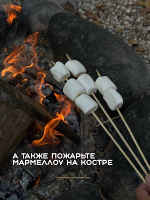 Последняя экскурсия на пасеку в этом сезоне — фото 4