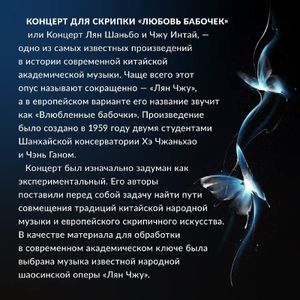 Концерт для скрипки с оркестром «Влюбленные бабочки» — фото 2