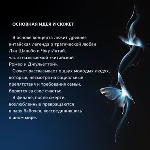 Концерт для скрипки с оркестром «Влюбленные бабочки» — фото 3