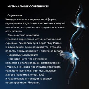 Концерт для скрипки с оркестром «Влюбленные бабочки» — фото 4