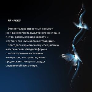 Концерт для скрипки с оркестром «Влюбленные бабочки» — фото 6