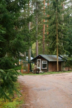Тур кирхинга по Выборгу — фото 7