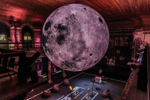 Выставка «История всего» — фото 4