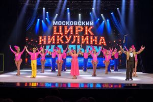 Московский цирк Никулина на льду — фото 2