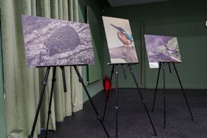 Выставка лучших работ участников «Школы фотонатуралиста» и победителей фотоконкурса «Нижегородская природа» — фото 3