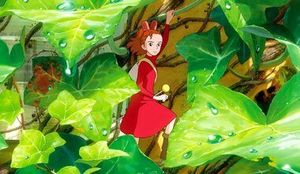 Ариэтти из страны лилипутов — фото 2