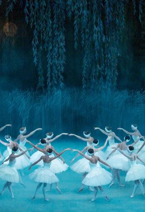 Лебединое озеро — фото 3