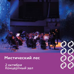 Концерт «Мистический лес» — фото 6