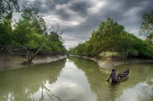Обсуждение романа Амитава Гоша «Голодный прилив» — фото 3