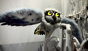 Колыбельная для леса — фото 3