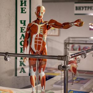 Внутри Человека — фото 2