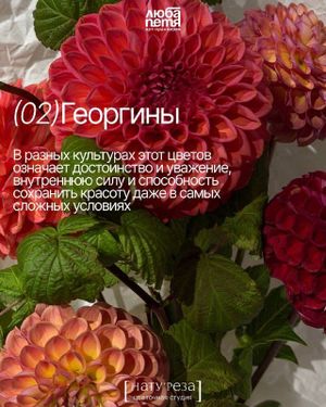Мастер-класс по созданию осенней интерьерной композиции с флористами НАТУ’РЕЗА — фото 3