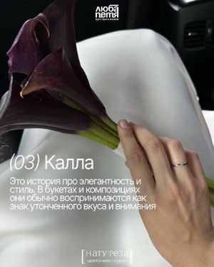 Мастер-класс по созданию осенней интерьерной композиции с флористами НАТУ’РЕЗА — фото 4