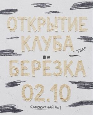 открытие берёзки — фото 2